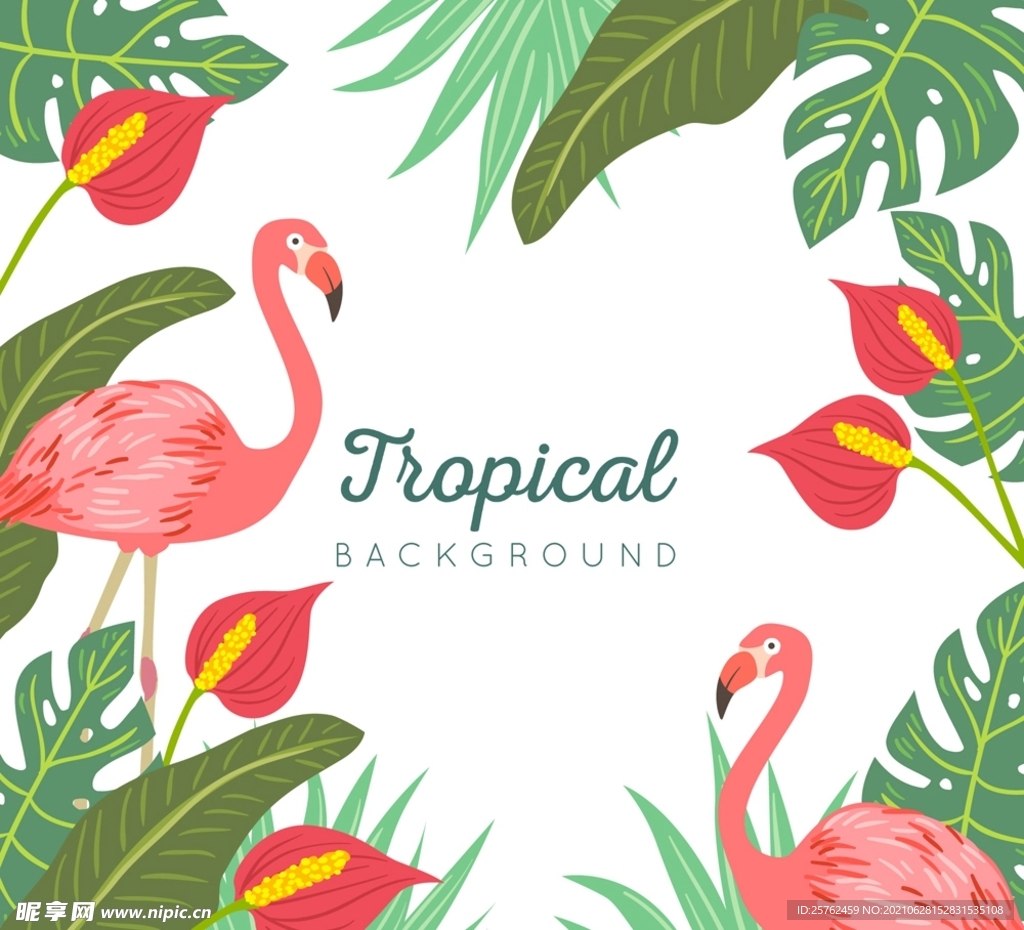 火烈鸟和火鹤花框架