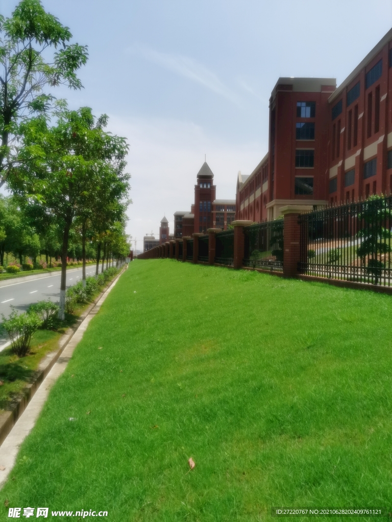 绿色生机    绿油油 草地