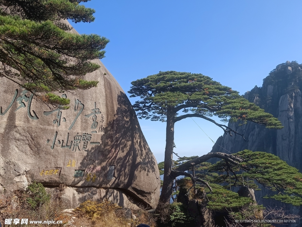 安徽 黄山 迎客松
