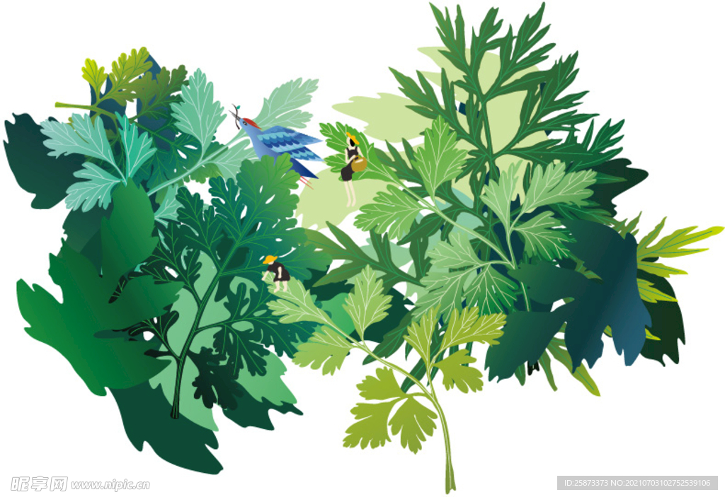 艾草  艾条   艾柱