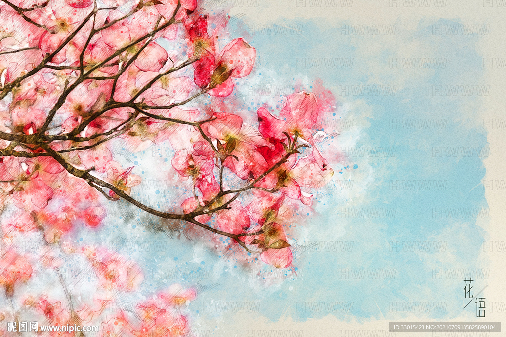 花卉手绘素描彩铅插画装饰画