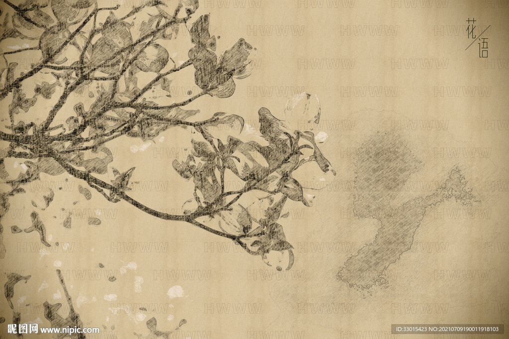 花卉手绘素描国画插画装饰画