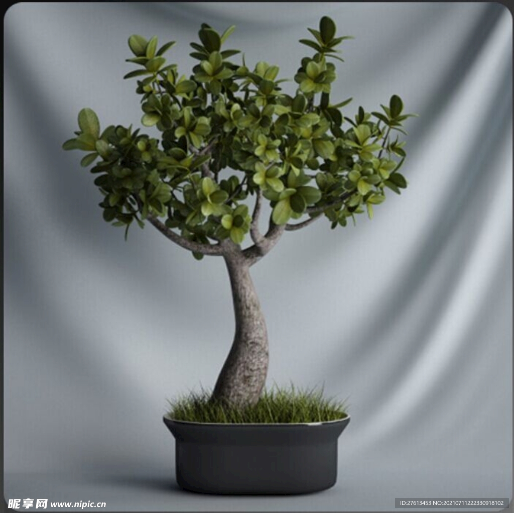 C4D盆栽模型图片