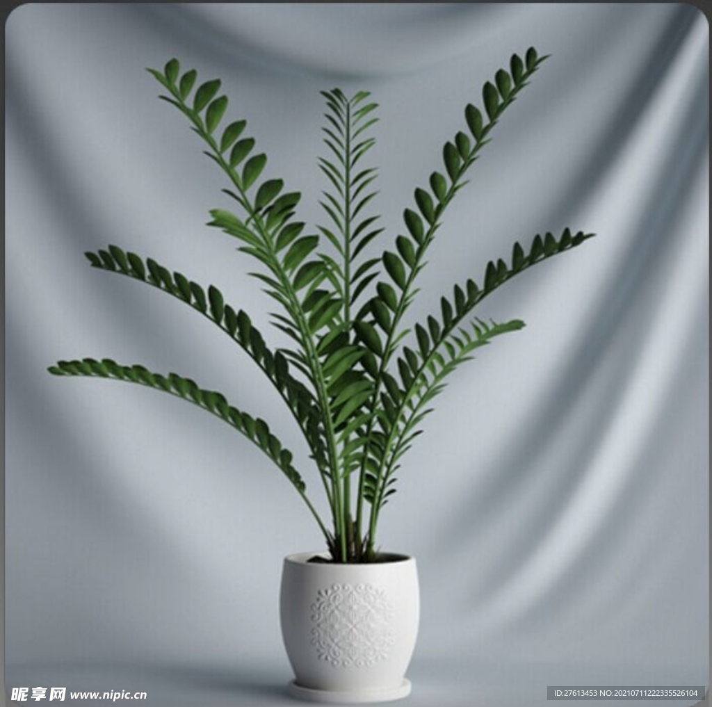 C4D盆栽模型图片