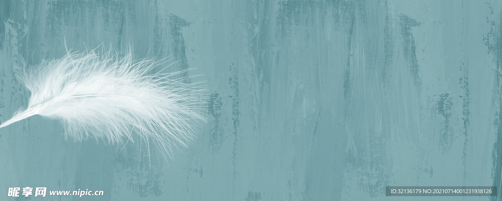 现代羽毛装饰画