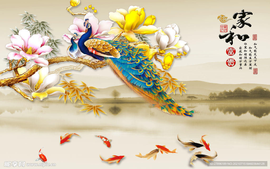 玉兰花孔雀背景