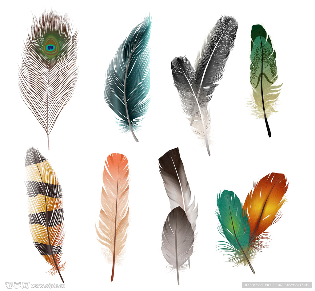 手绘矢量图彩色羽毛