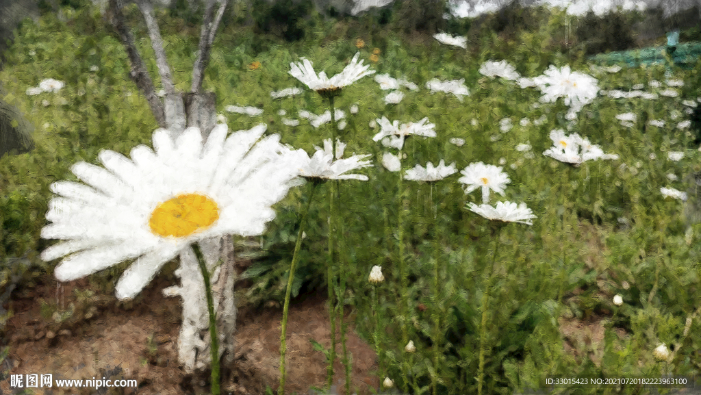 小雏菊花朵油画插画装饰画
