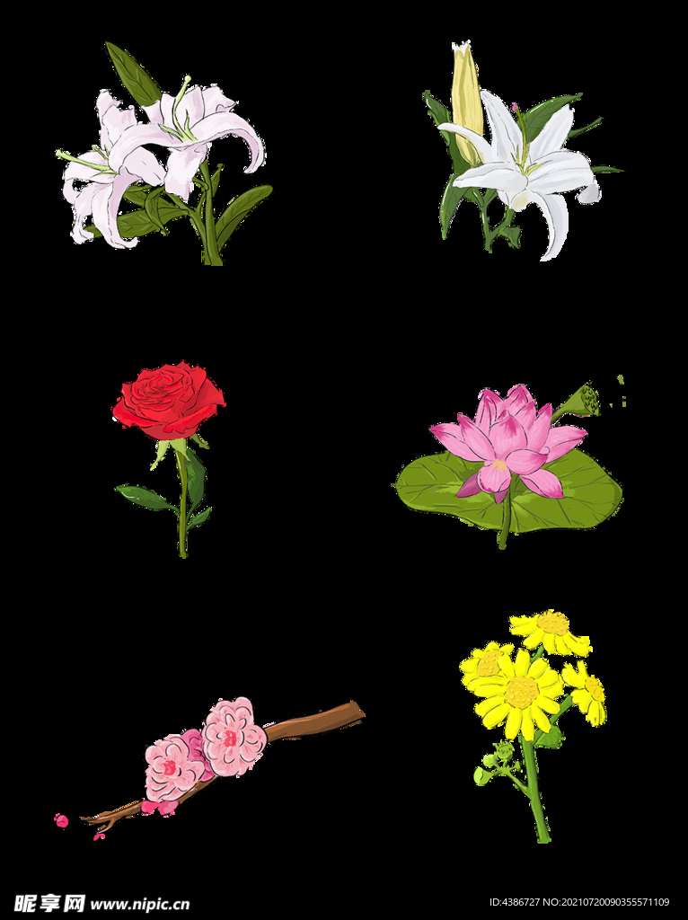 鲜花 手绘 浪漫装饰品