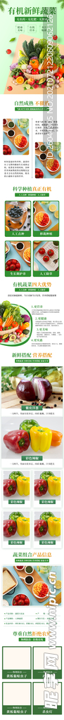 有机新鲜蔬菜