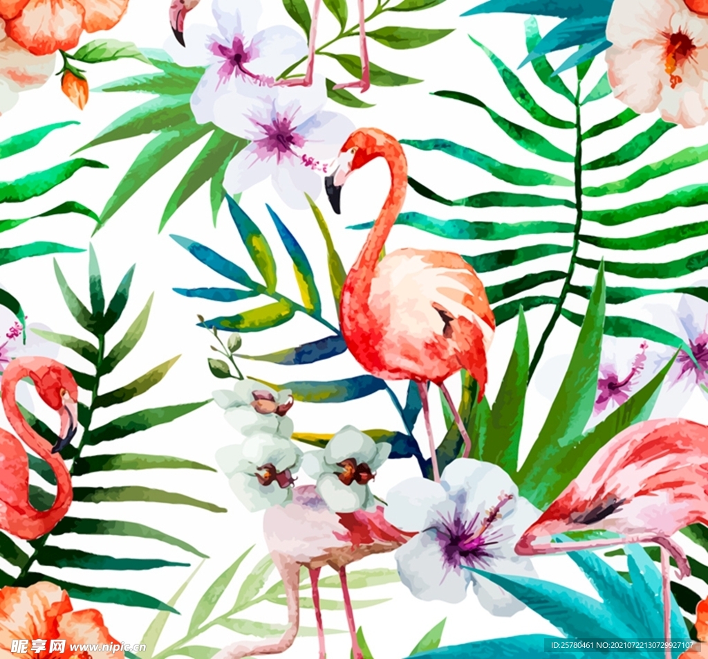 朱槿花和火烈鸟