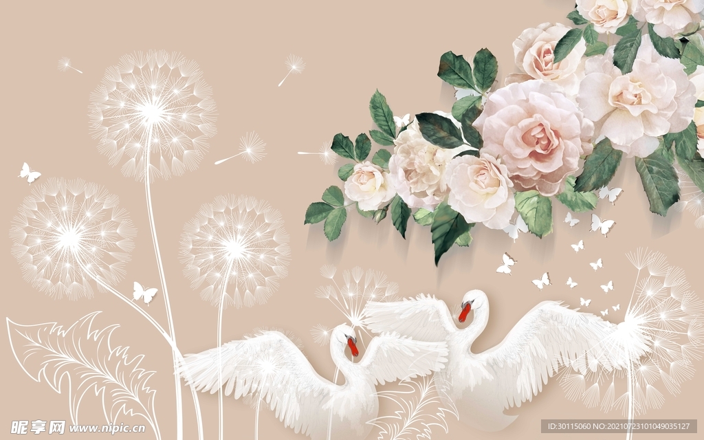 蒲公英天鹅背景