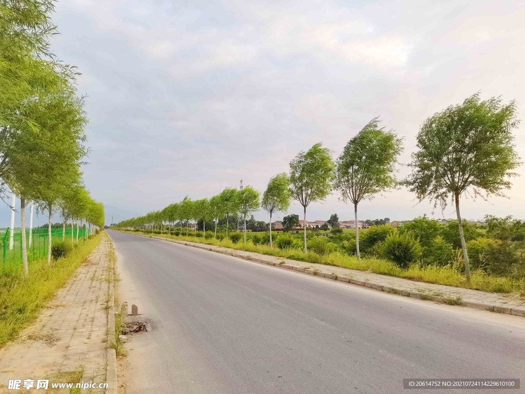 美丽的道路风景