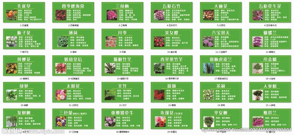 花签 花挂牌 花牌