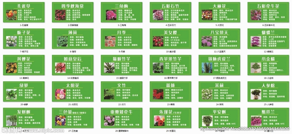 花签 花名牌 树牌