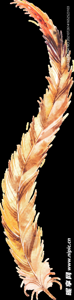 西方神圣水彩装饰物平面素材