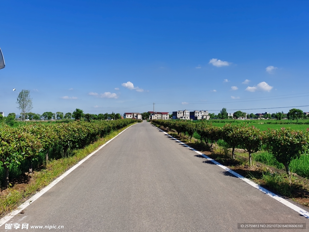 乡村道路
