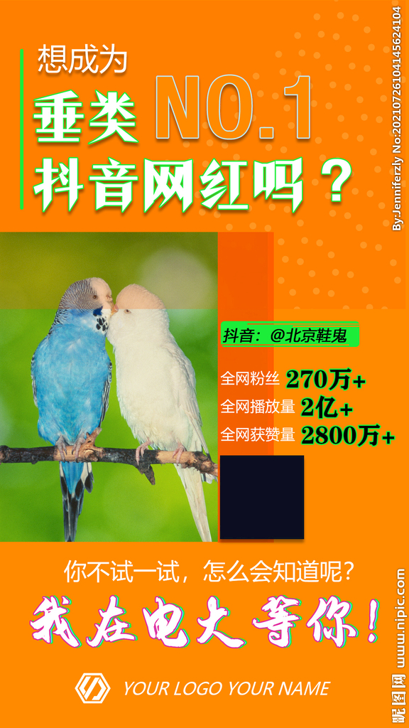 抖音网红酷炫时尚色彩人物海报