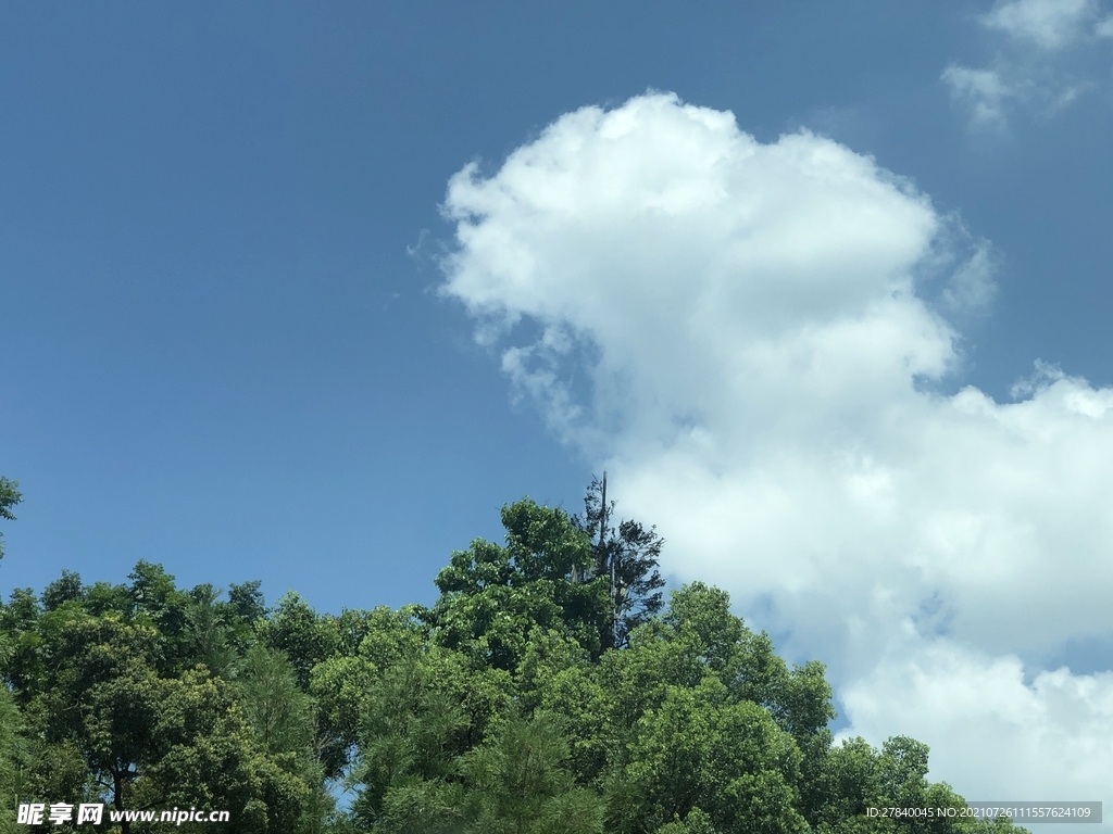 绿树白云