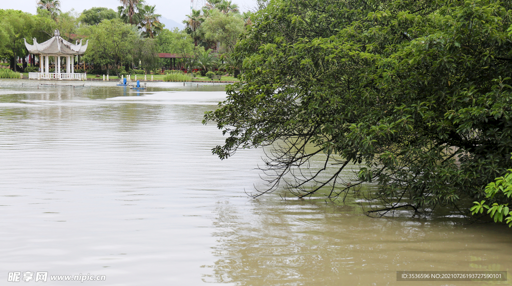 温州江心屿美景