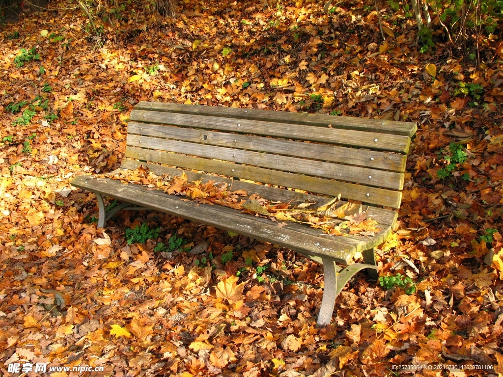 秋天公园长椅