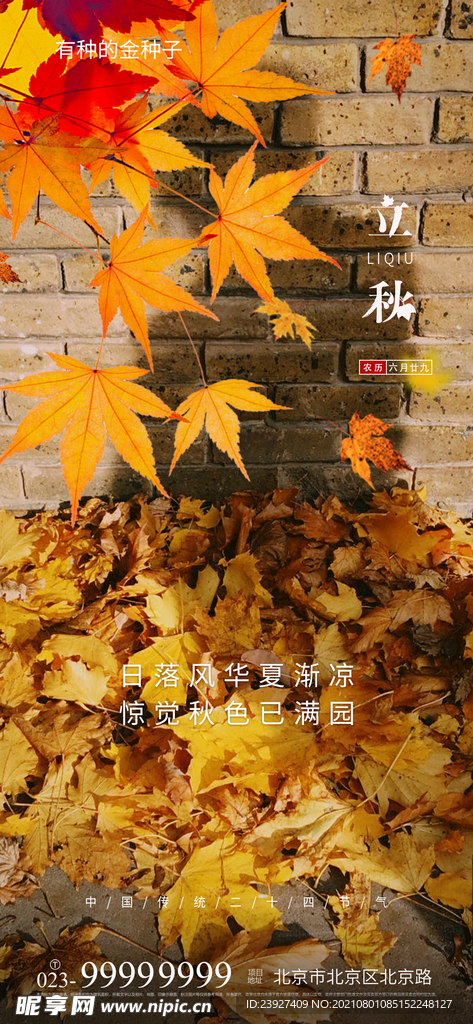 房地产立秋秋分 