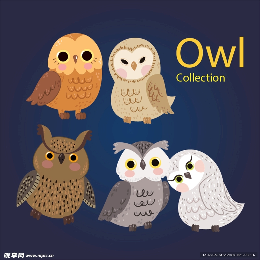 卡通猫头鹰