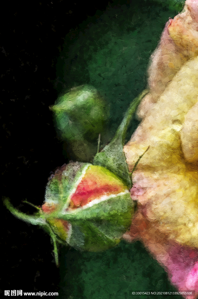 含苞待放的花朵油画