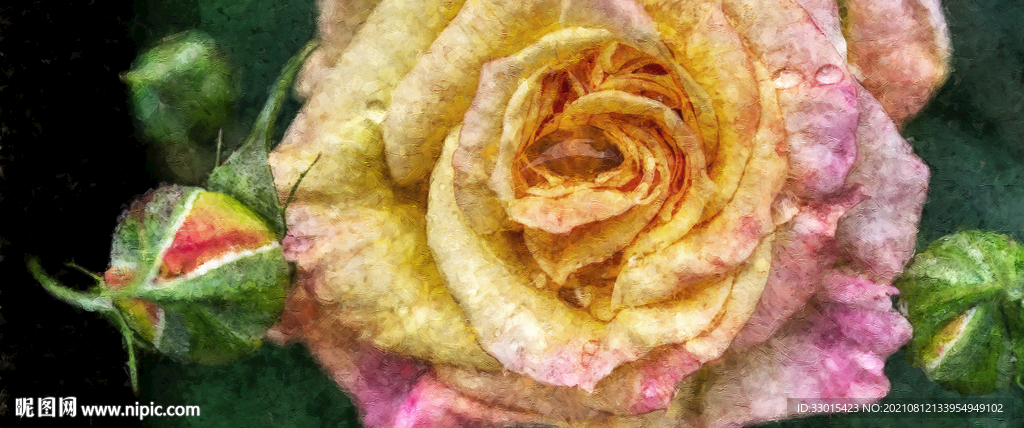 月季玫瑰花手绘油画装饰画