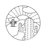 线性插画沙漠仙人掌
