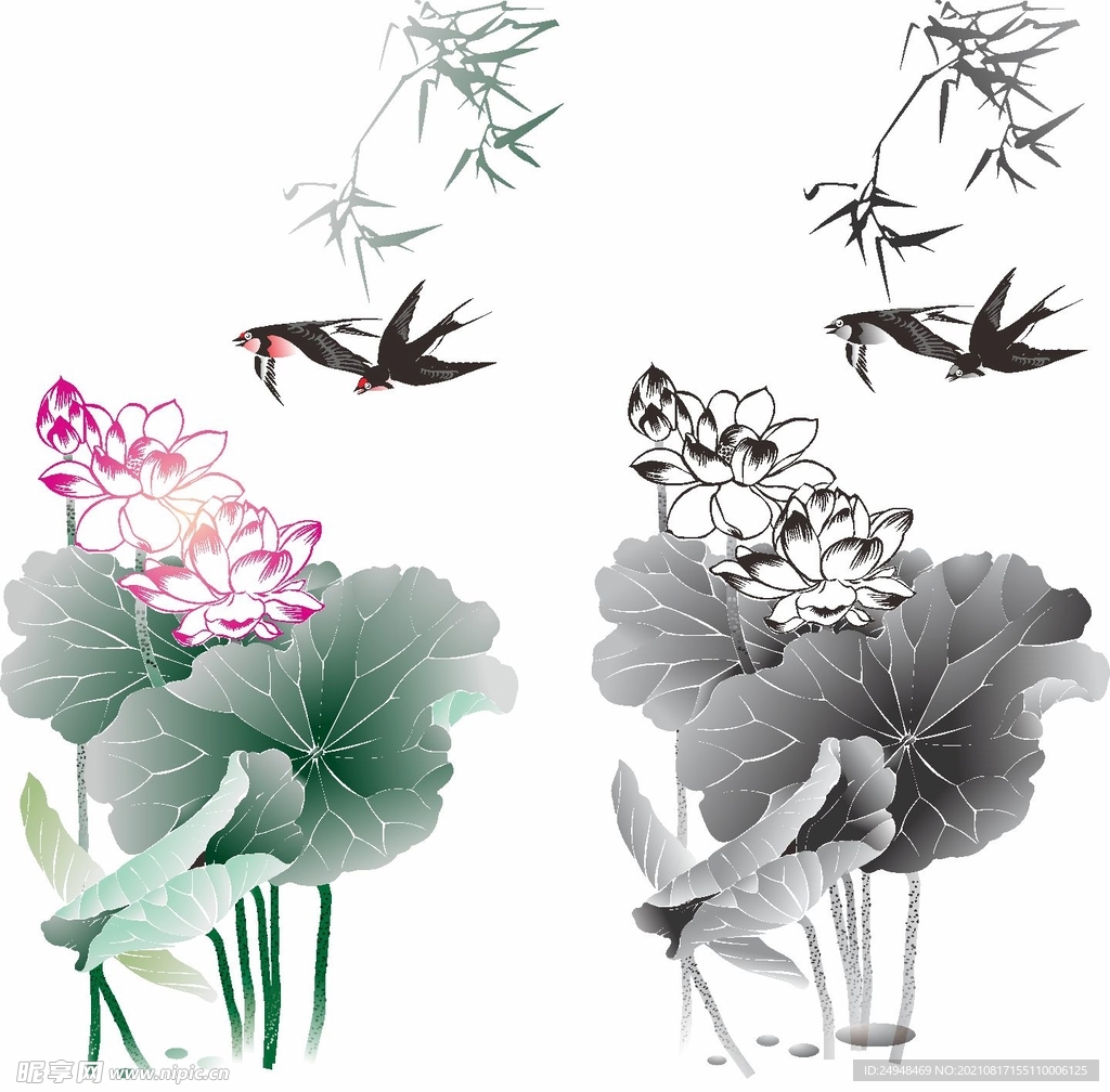荷花水墨矢量图