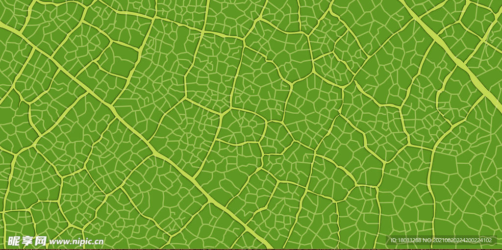 树叶底纹植物纹路绿色叶子纹理