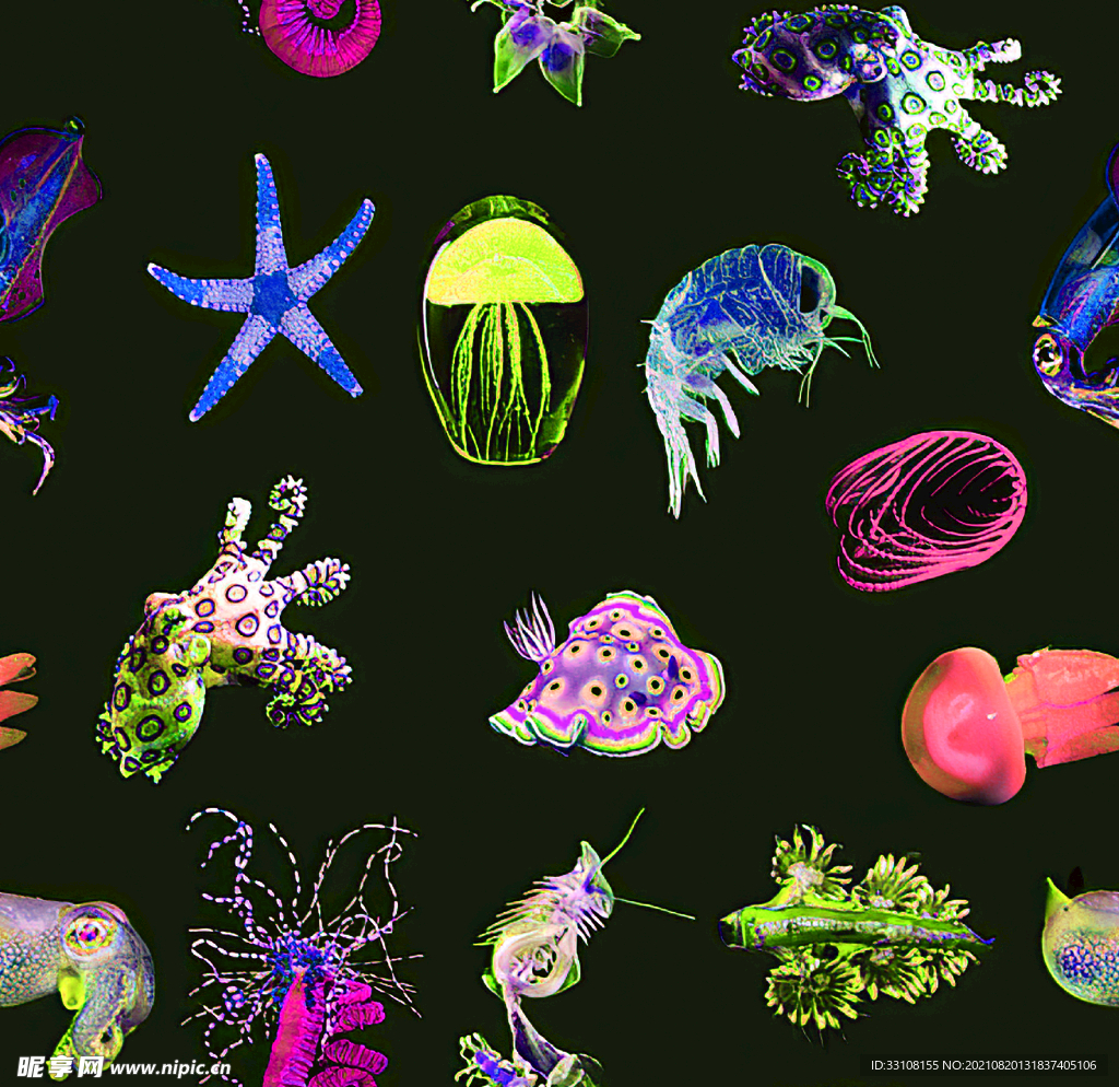 大牌 效果 定位