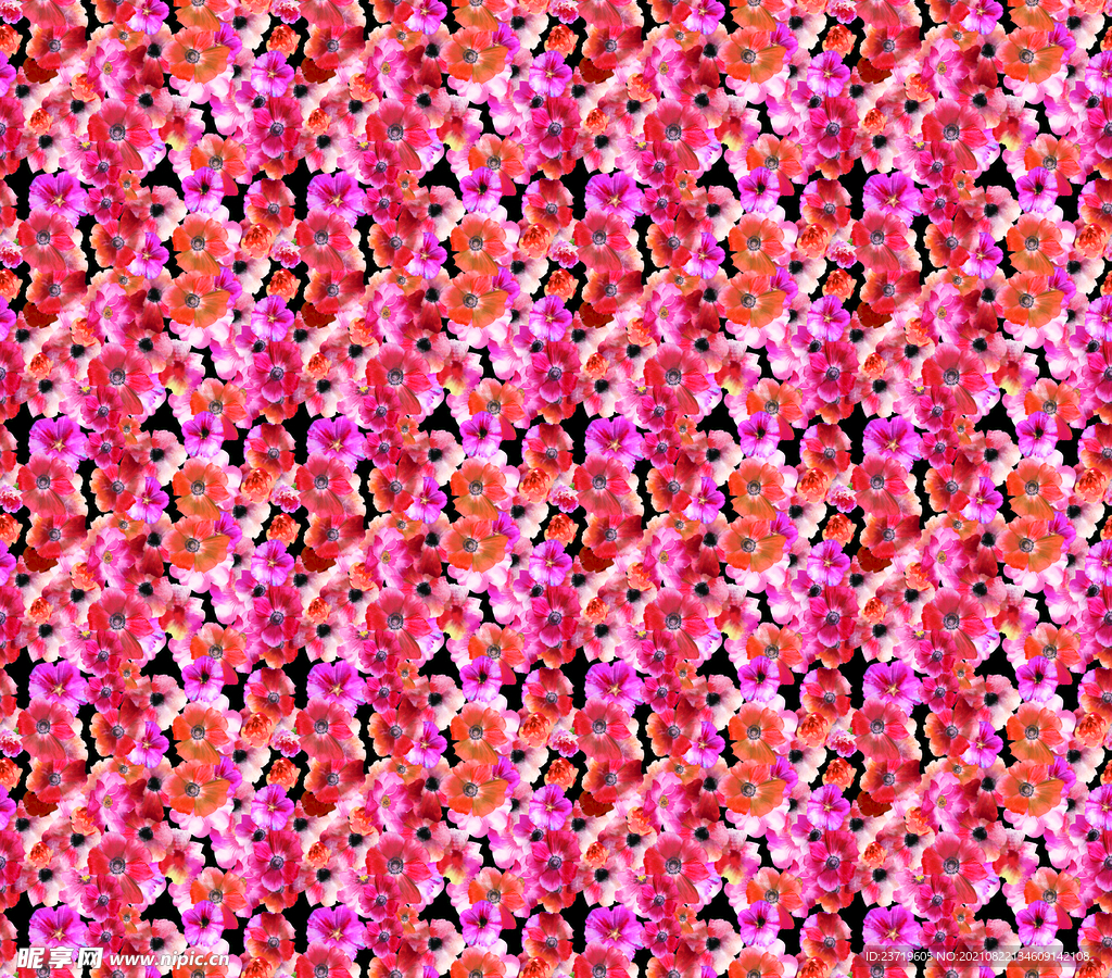 大牌 印花 男装 南瓜 万圣节