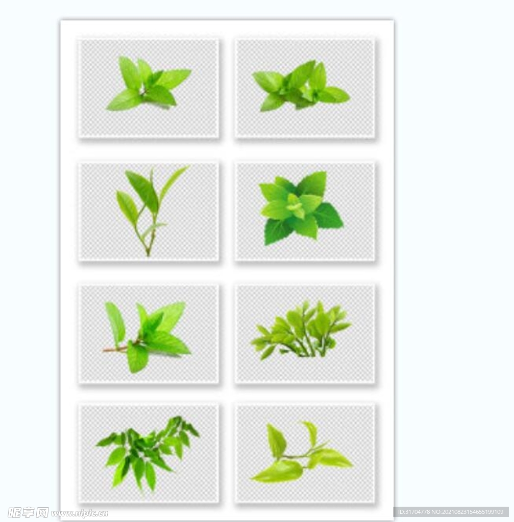 树叶绿叶植物免扣素材