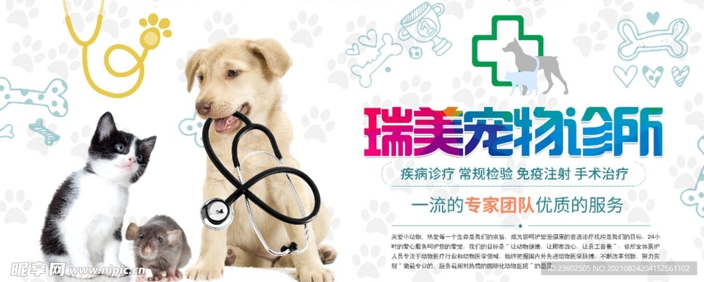 宠物诊所
