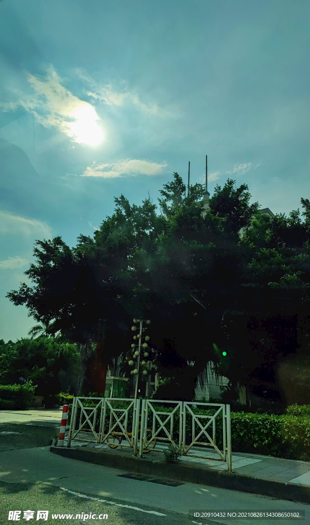 城市道路天空树木