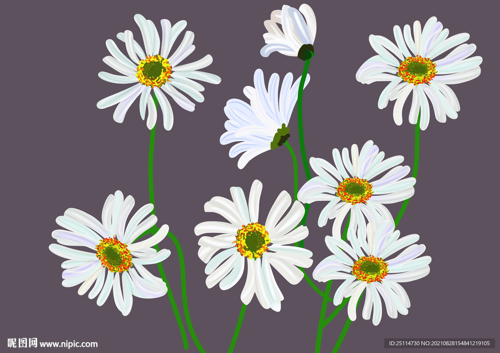 菊花花朵数码印花