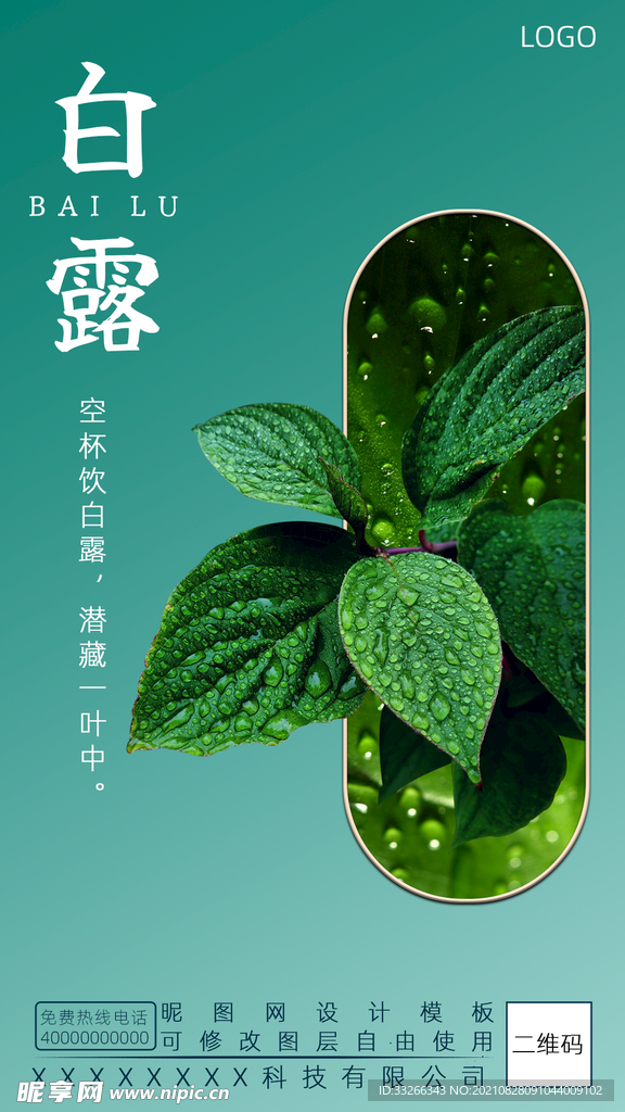 白露24节气海报设计模板