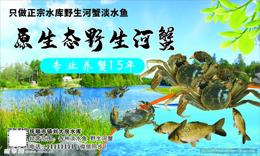 稻田河蟹 水产 淡水鱼