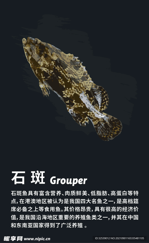 拟真矢量石斑鱼