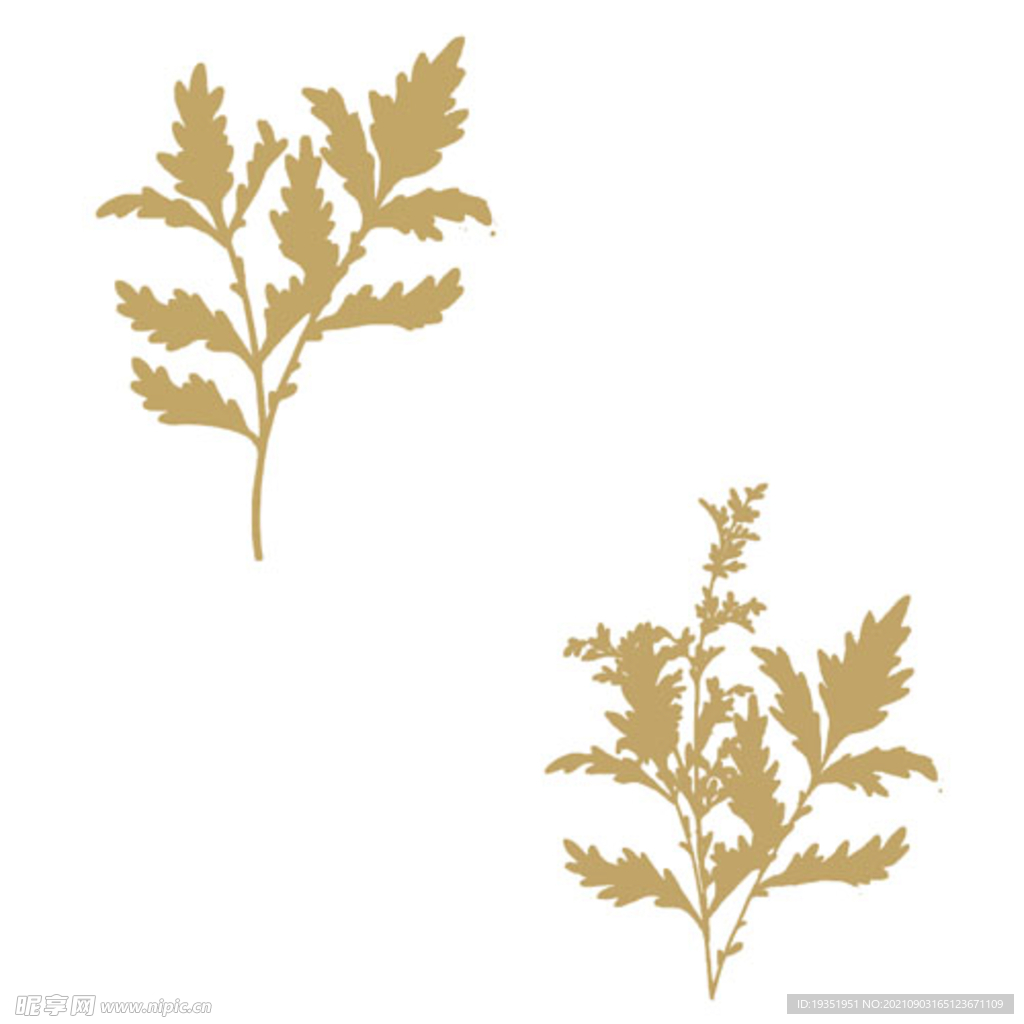 禅风设计-树叶高清写真