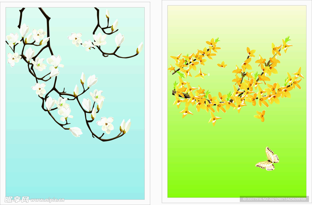 玉兰花 黄色花 蝴蝶