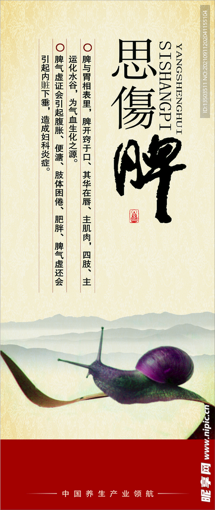 中医养生 养生海报