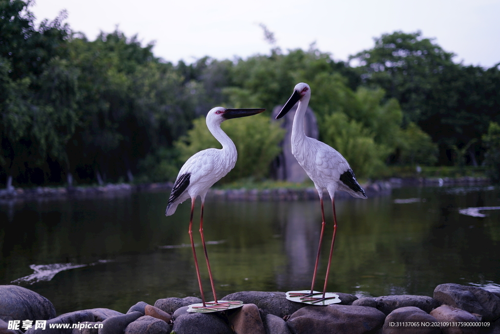  仿真鸟白鹳雕塑BY泉州江之南