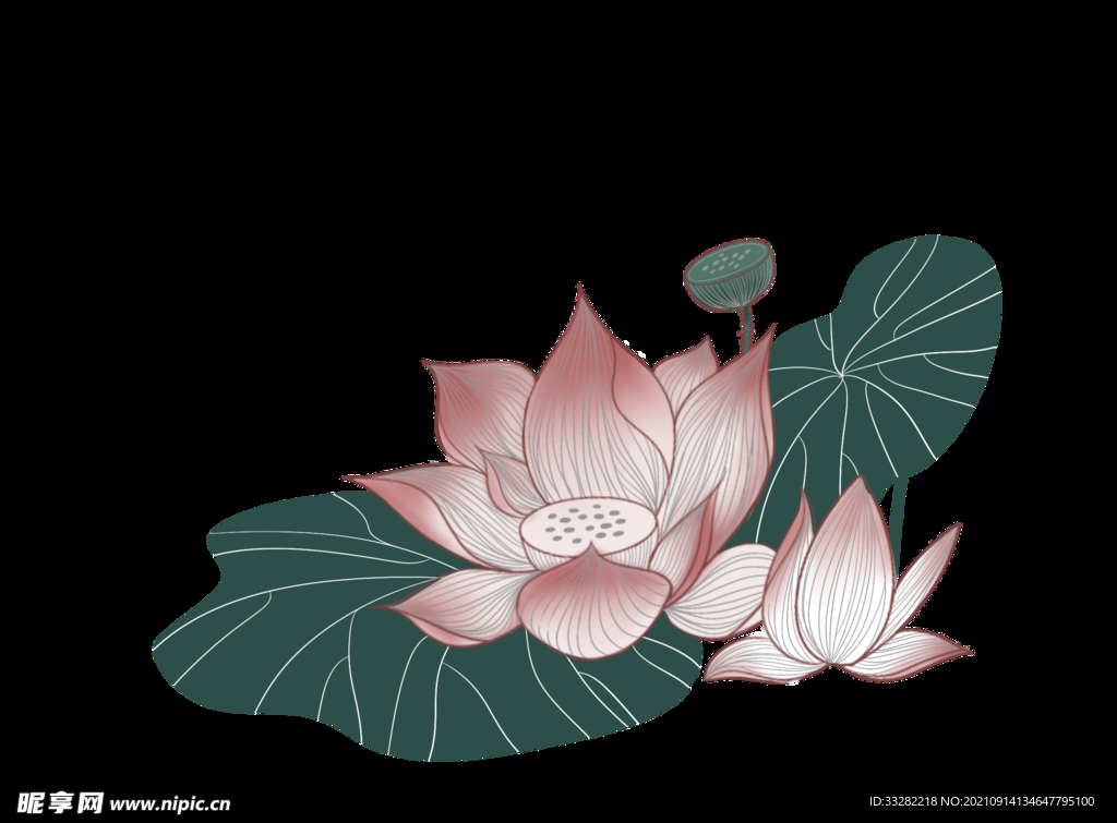 荷叶荷花免扣素材psd图层