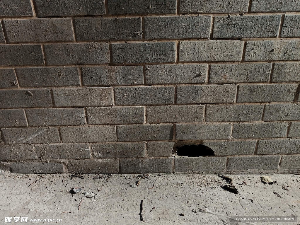 砖头墙壁上的老鼠洞穴老鼠洞