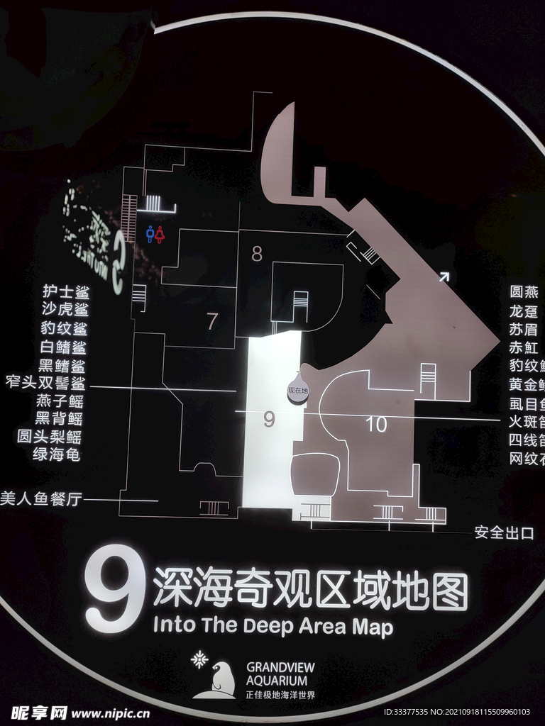 正佳极地海洋世界 海洋馆