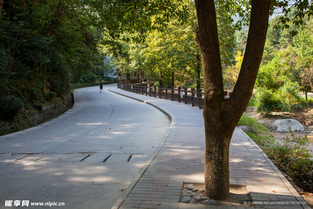 十堰牛头山国家森林公园