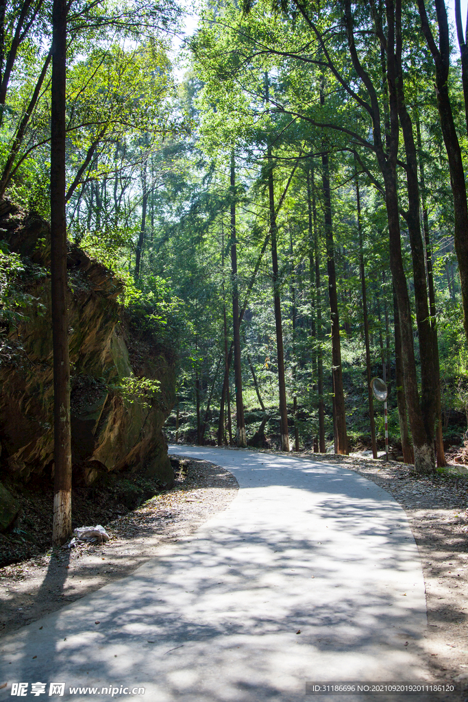十堰牛头山国家森林公园